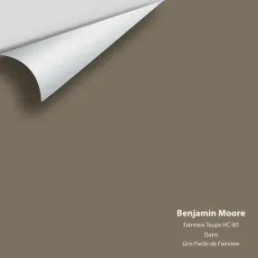 Benjamin Moore - Fairview Taupe HC-85 Colour Sample