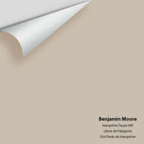 Benjamin Moore - Hampshire Taupe 990 Colour Sample