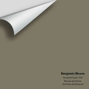 Benjamin Moore - Roosevelt Taupe 1539 Colour Sample