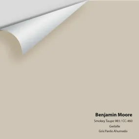 Benjamin Moore - Smokey Taupe 983 Colour Sample