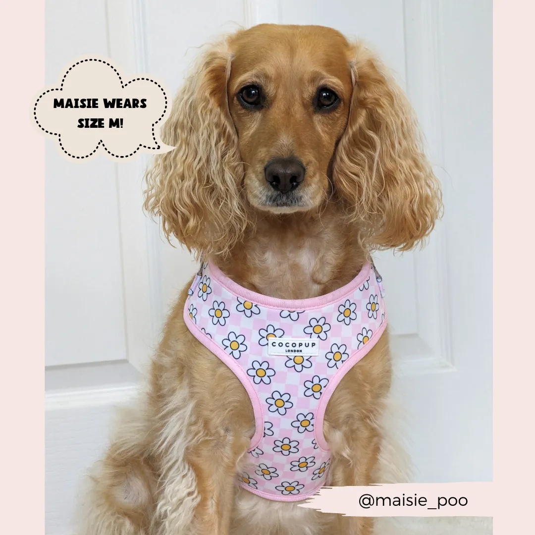 Daisy Gingham Rave Adjustable Neck Harness